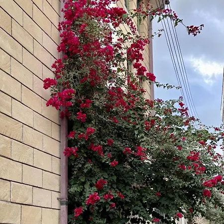 Apartment 2br Flat Inside Venetian Bastion Walls