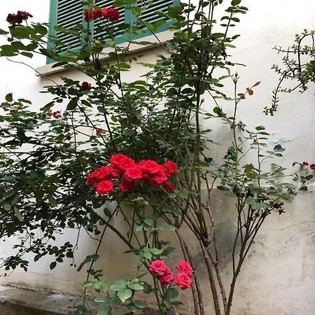 2br Flat Inside Venetian Bastion Walls